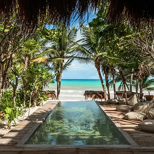 https://xela.quintano-roohotels.com