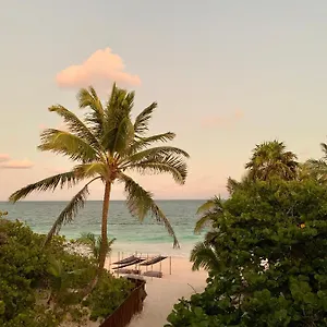 https://libelula-tulum.allrivieramayahotels.com